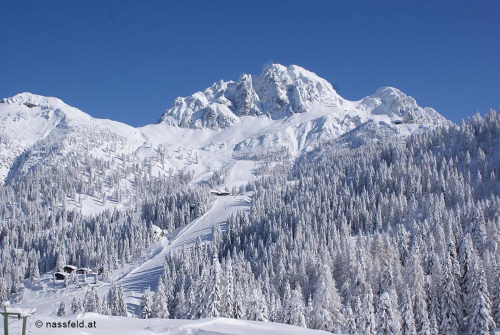 Haus Hoffmann Daire Sonnenalpe Nassfeld Dış mekan fotoğraf